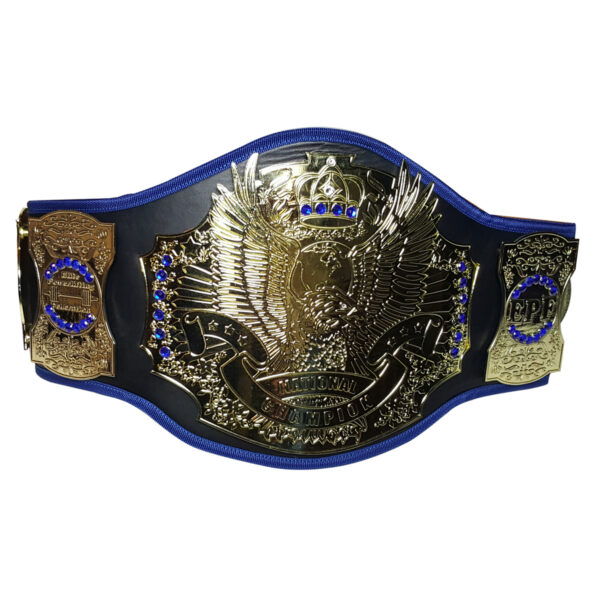 Championship Belt